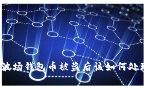 tp波场钱包币被盗后该如何处理？