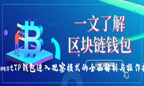 biamotTP钱包进入观察模式的全面解析与操作指南
