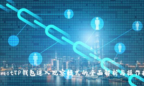 biamotTP钱包进入观察模式的全面解析与操作指南