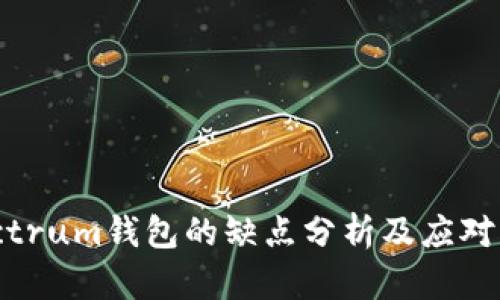 Electrum钱包的缺点分析及应对策略