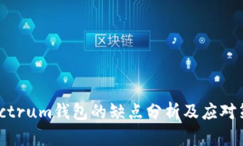 Electrum钱包的缺点分析及应对策略
