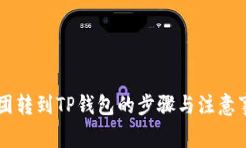 币团转到TP钱包的步骤与注意事项
