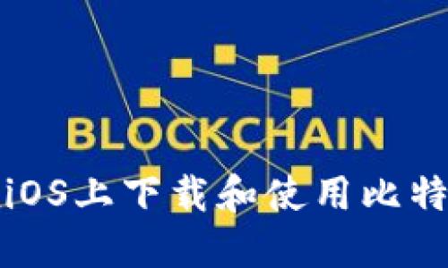 如何在iOS上下载和使用比特币钱包