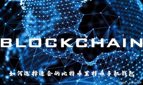 如何选择适合的比特币莱特币手机钱包