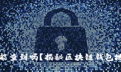 区块链钱包地址能查到吗？揭秘区块链钱包地址的隐私与安全