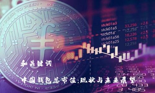 和关键词

中国钱包总市值：现状与未来展望