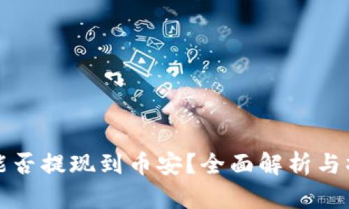 TP钱包能否提现到币安？全面解析与操作指南