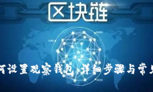 比特派如何设置观察钱包：详细步骤与常见问题解答