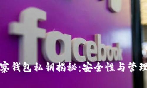 TP观察钱包私钥揭秘：安全性与管理策略