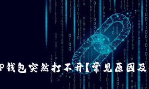 为什么TP钱包突然打不开？常见原因及解决方法