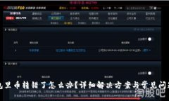 TP钱包里币转错了怎么办？详细解决方案与常见问