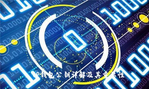 : TP钱包公钥详解及其重要性