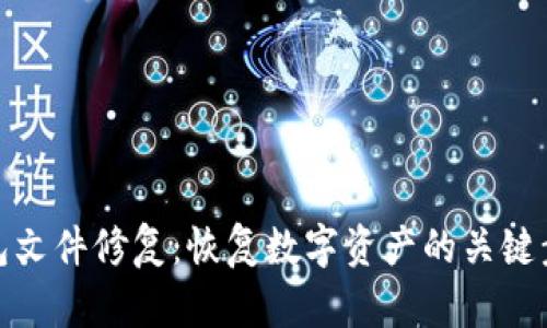 钱包文件修复：恢复数字资产的关键步骤