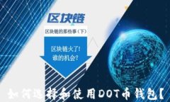如何选择和使用DOT币钱包
