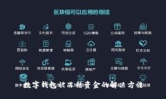 数字钱包被冻结资金的解
