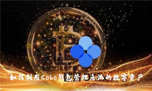 如何利用Cobo钱包管理鱼池的数字资产
