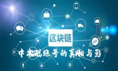 中本聪账号的真相与影響