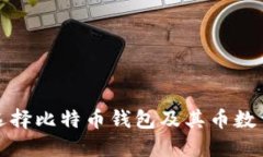 如何选择比特币钱包及其币数量管理
