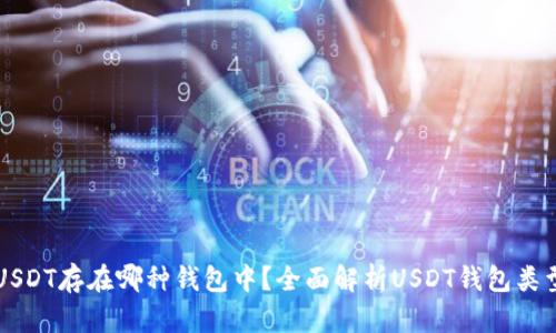 USDT存在哪种钱包中？全面解析USDT钱包类型