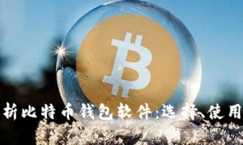 全面解析比特币钱包软件：选择、使用与安全