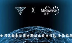 如何选择和使用电脑版比特币钱包：全面指南