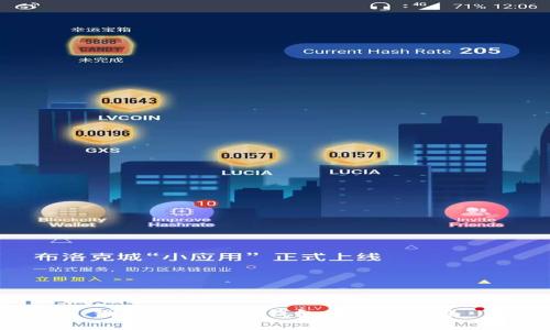 国内数字货币钱包的全面指南