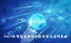 ONLY冷钱包质押的风险分析与应对策略