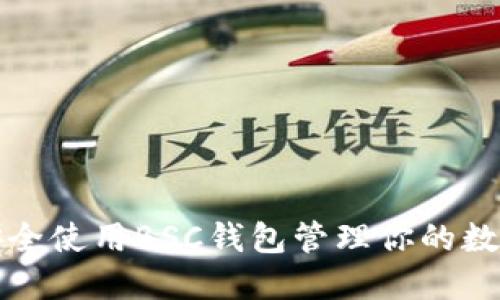 如何安全使用BSC钱包管理你的数字资产